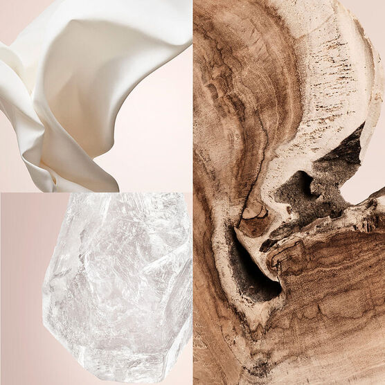 Perfume Carolina Herrera Confidential Cedar Chic Unissex Eau de Parfum